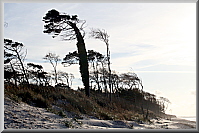 Natur-Trotz