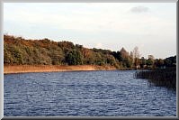 Natur am Prerow Strom